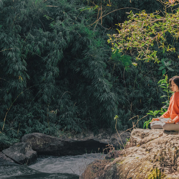 The Power of Meditation in Coaching and Communications